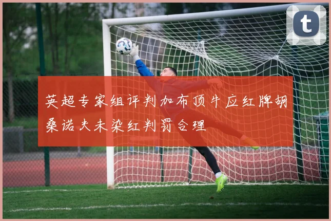 英超专家组评判加布顶牛应红牌胡桑诺夫未染红判罚合理