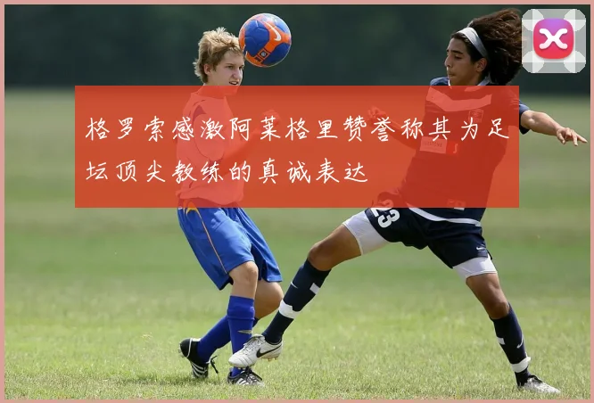 格罗索感激阿莱格里赞誉称其为足坛顶尖教练的真诚表达