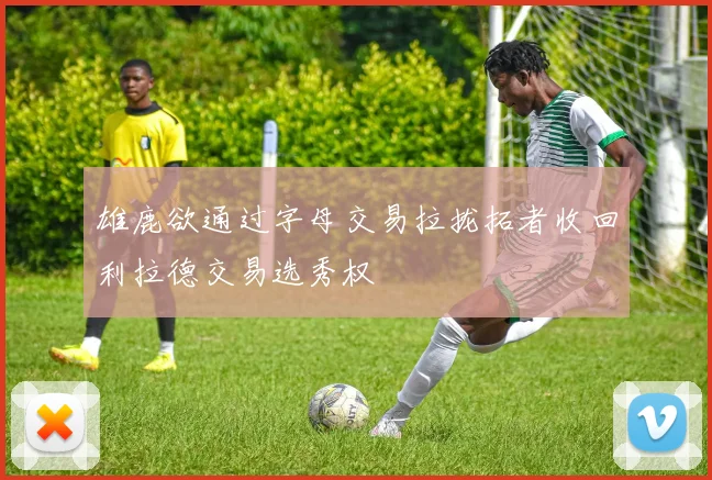 雄鹿欲通过字母交易拉拢拓者收回利拉德交易选秀权